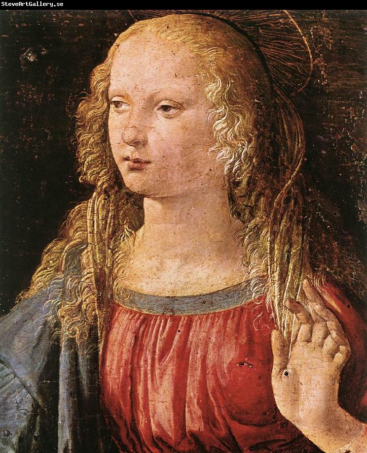 LEONARDO da Vinci Annunciation (detail) dfe